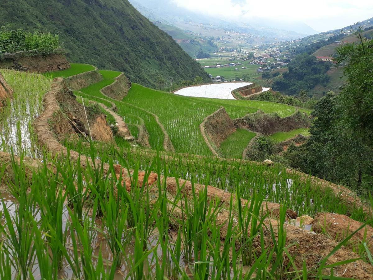 Organic Farm Homestay Sa Pa Kültér fotó