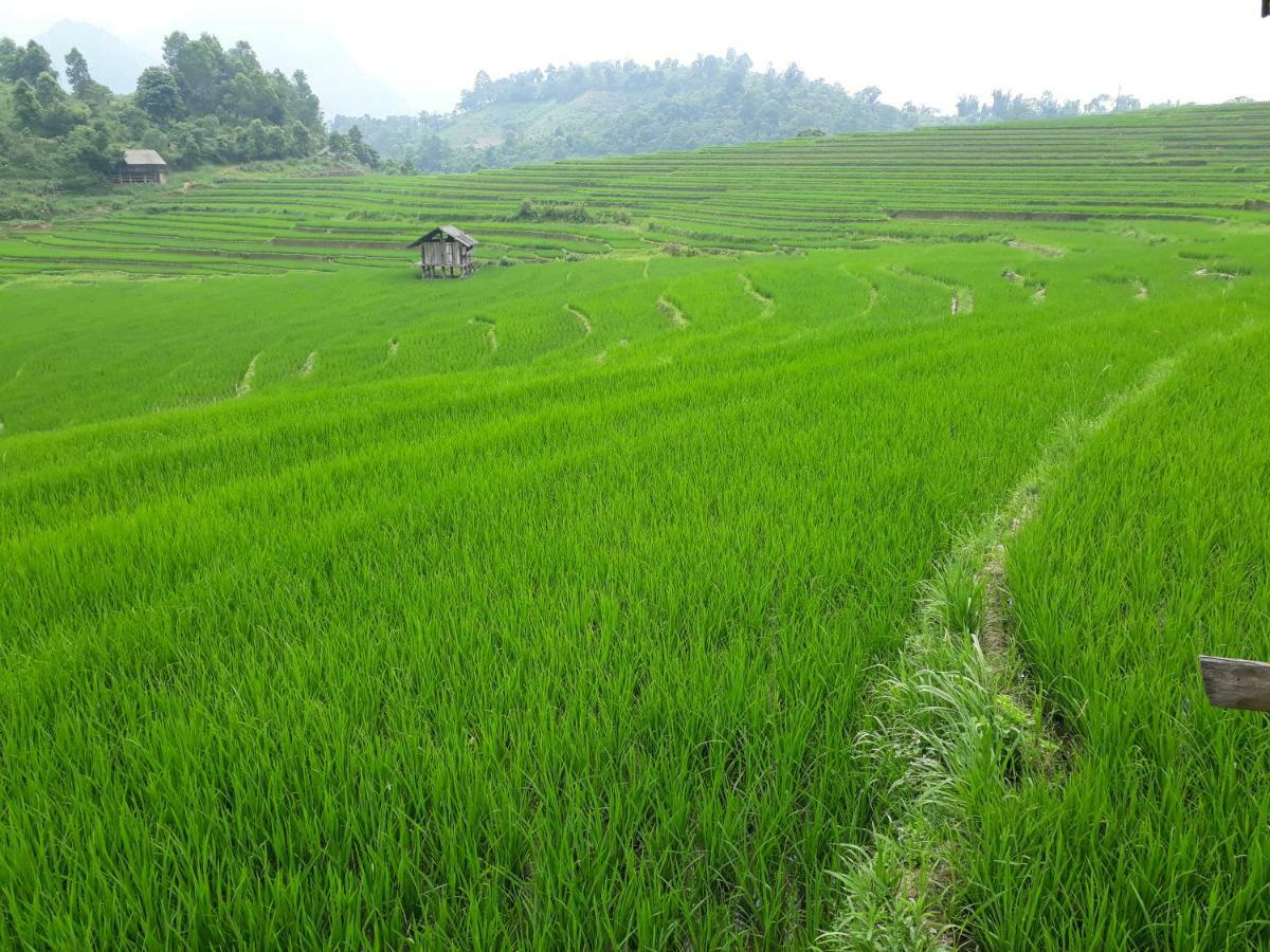 Organic Farm Homestay Sa Pa Kültér fotó